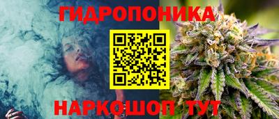 бошки Малгобек