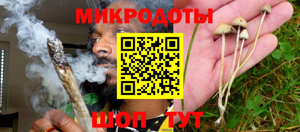 Псилоцибиновые грибы Magic Shrooms  Псилоцибиновые грибы Cubensis  что такое   Вход с VPN  Выкса 