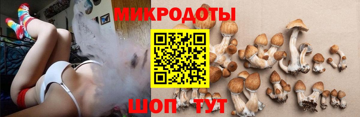 Псилоцибиновые грибы прущие грибы Выкса